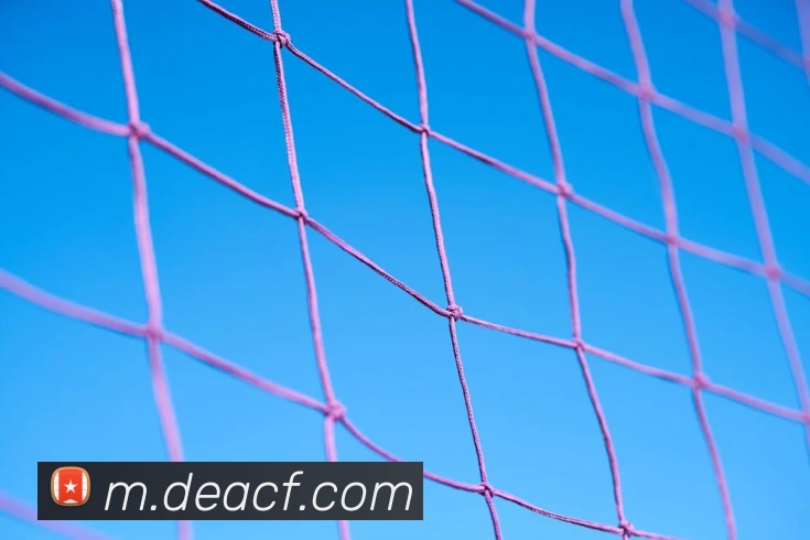 超凡国际全站App